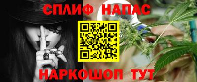 шишки Обь
