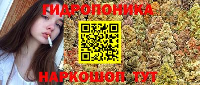 хмурый Новозыбков