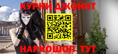 шишки Обь